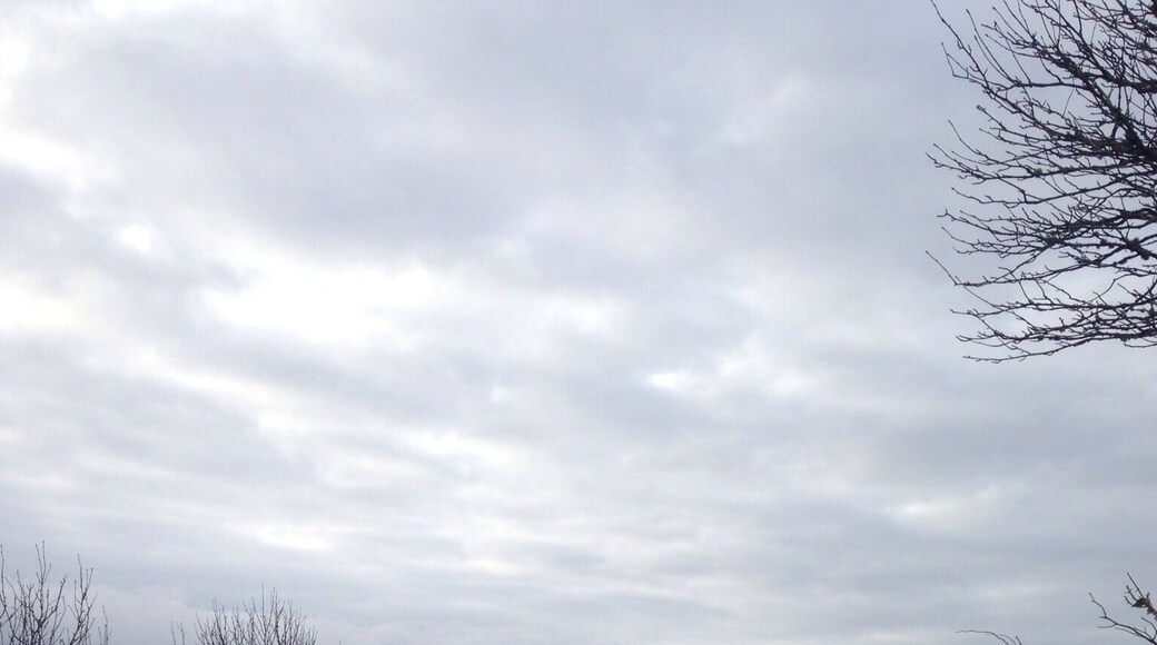 Spent the last few days on the Isle of Skye celebrating my birthday. It was made all the more special by staying in one of the huts at Skye Shepherd Huts. Janet has thought of everything and it truly is a magical stay 😊