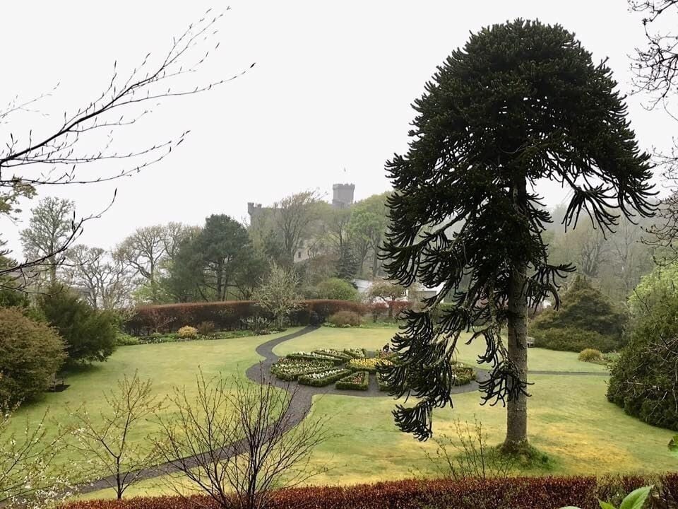 Dunvegan Castle on the Isle of Skye in Scotland is loaded with culture covering many generations. Here is a giant Monkey Puzzle tree in front of the Circular garden with the Castle in the background. The Castle is steeped in culture and contains fabulous relics including a lock of Bonnie Prince Charlie’s hair which he gave to Flora MacDonald. Well worth seeking out. 
#Culture