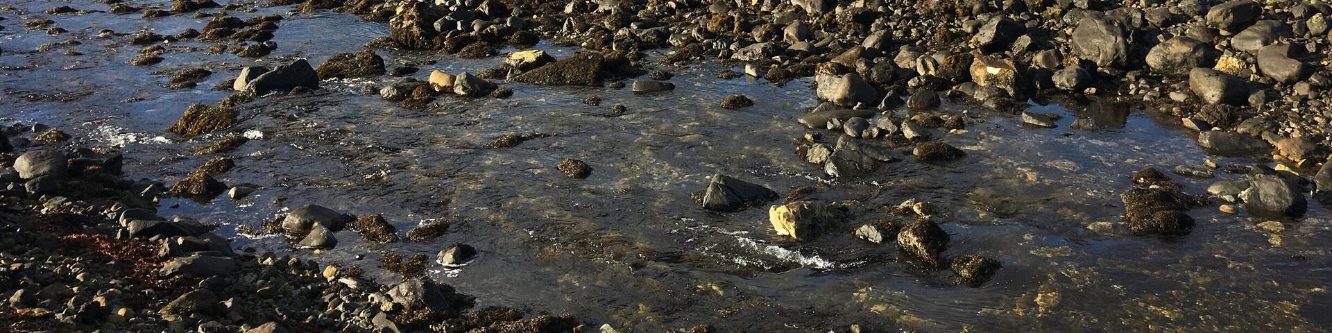 Great spot just point your camera in any direction and take some beautiful images #river #mountains