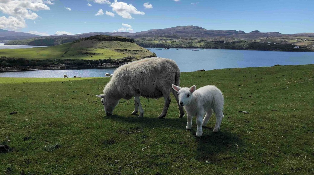 Beautiful Isle of Skye. Wonderfull trip to Scotland!