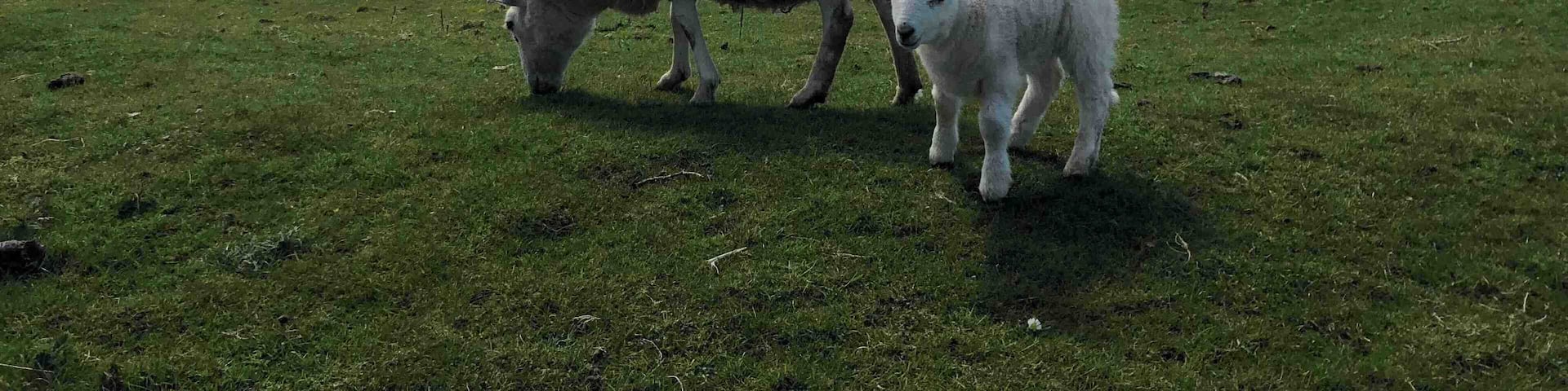 Beautiful Isle of Skye. Wonderfull trip to Scotland!