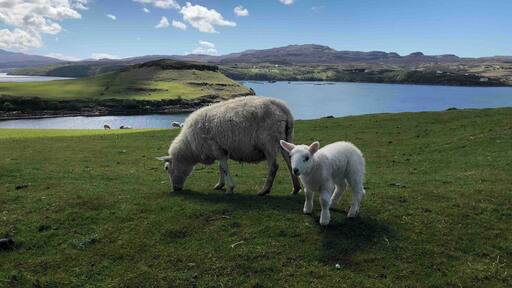 Beautiful Isle of Skye. Wonderfull trip to Scotland!