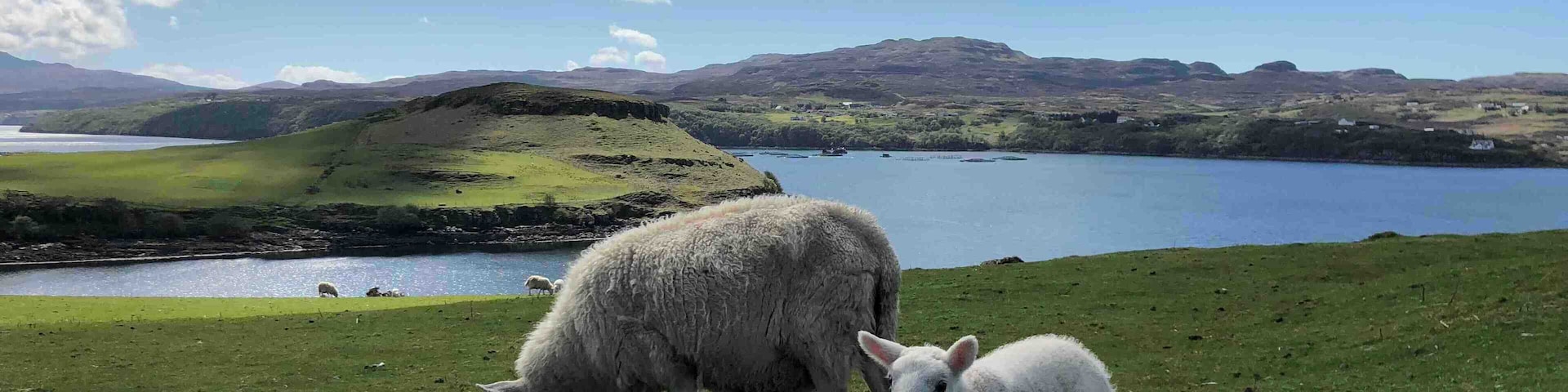 Beautiful Isle of Skye. Wonderfull trip to Scotland!