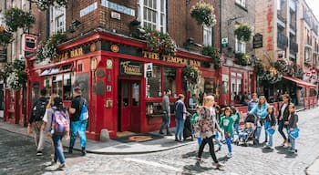 Temple Bar showing signage, street scenes and heritage elements