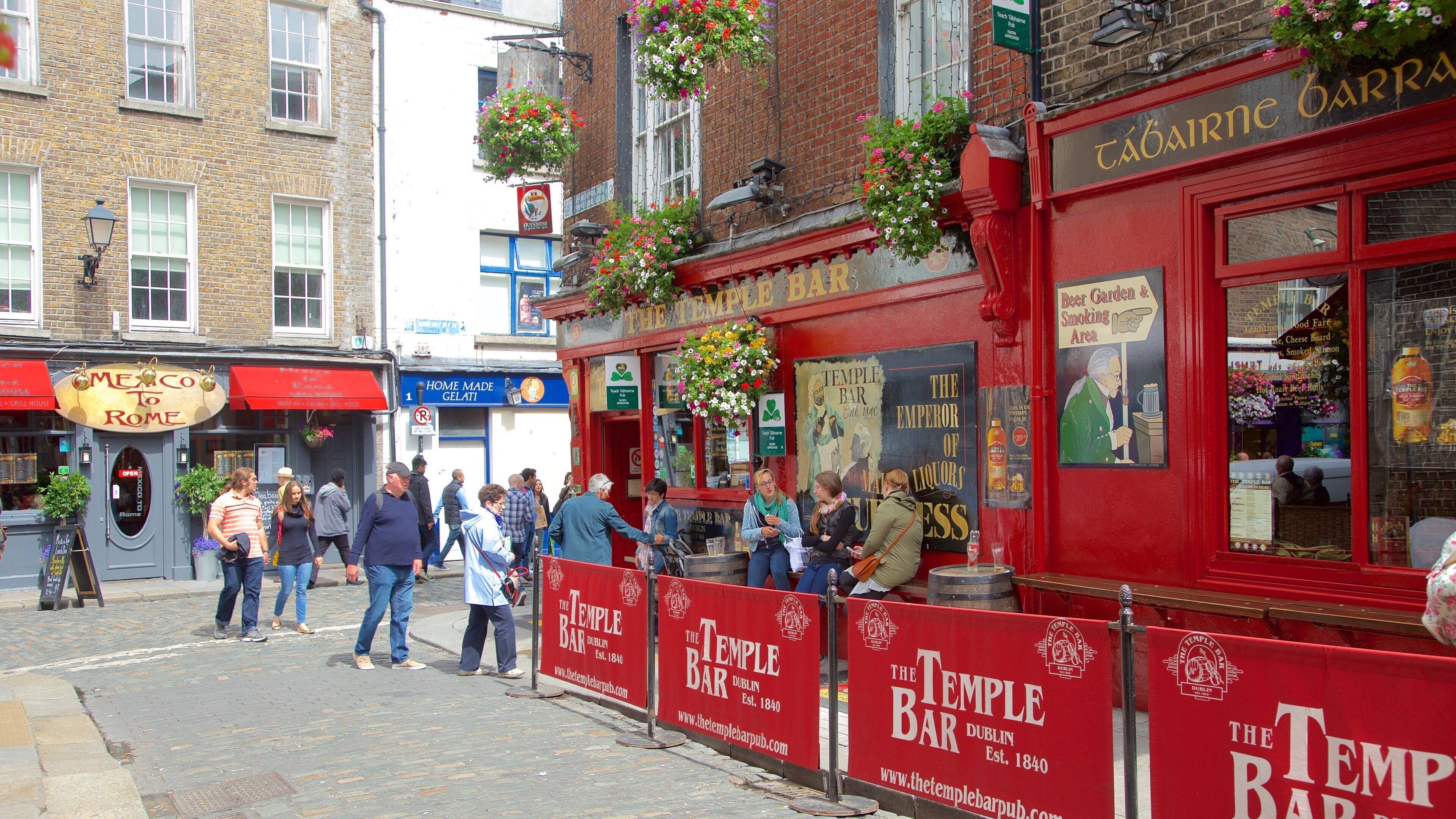 Temple Bar featuring signage, flowers and a bar