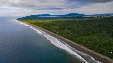Foto aérea en la Costa Pacífica Colombiana, en el Departamento del Chocó