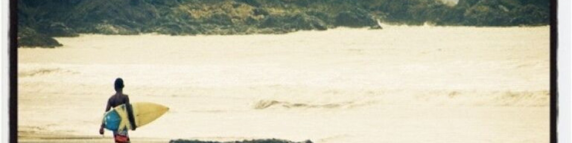 Uma praia com palmeiras e uma pessoa carregando uma prancha de surf.