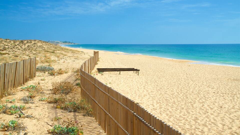 A sandy beach with a wooden fence and a bench.