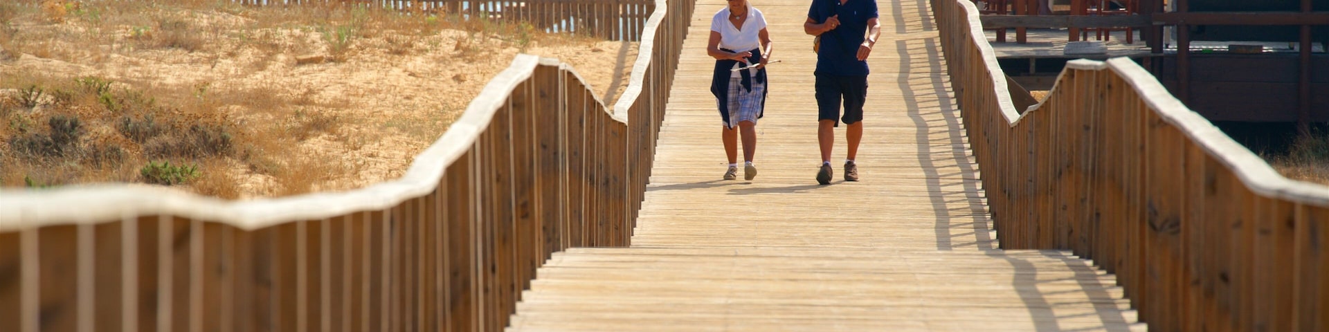 Salgados Beach mostrando un puente y vistas de una costa