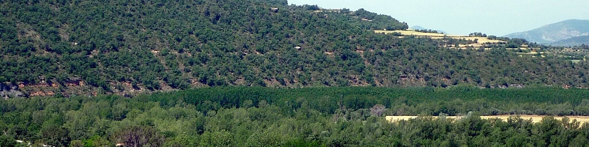 Un paisaje montañoso con bosques densos y campos abiertos.