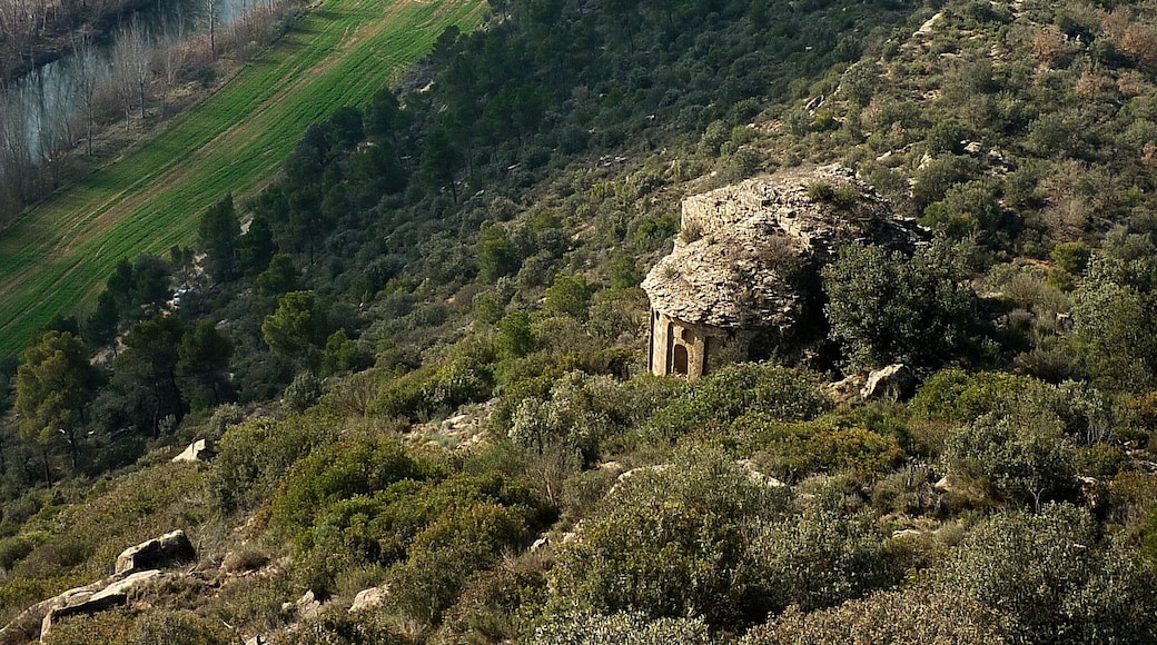 Església de Sant Joan Baptista de Torreblanca (Ponts): des del Castellot