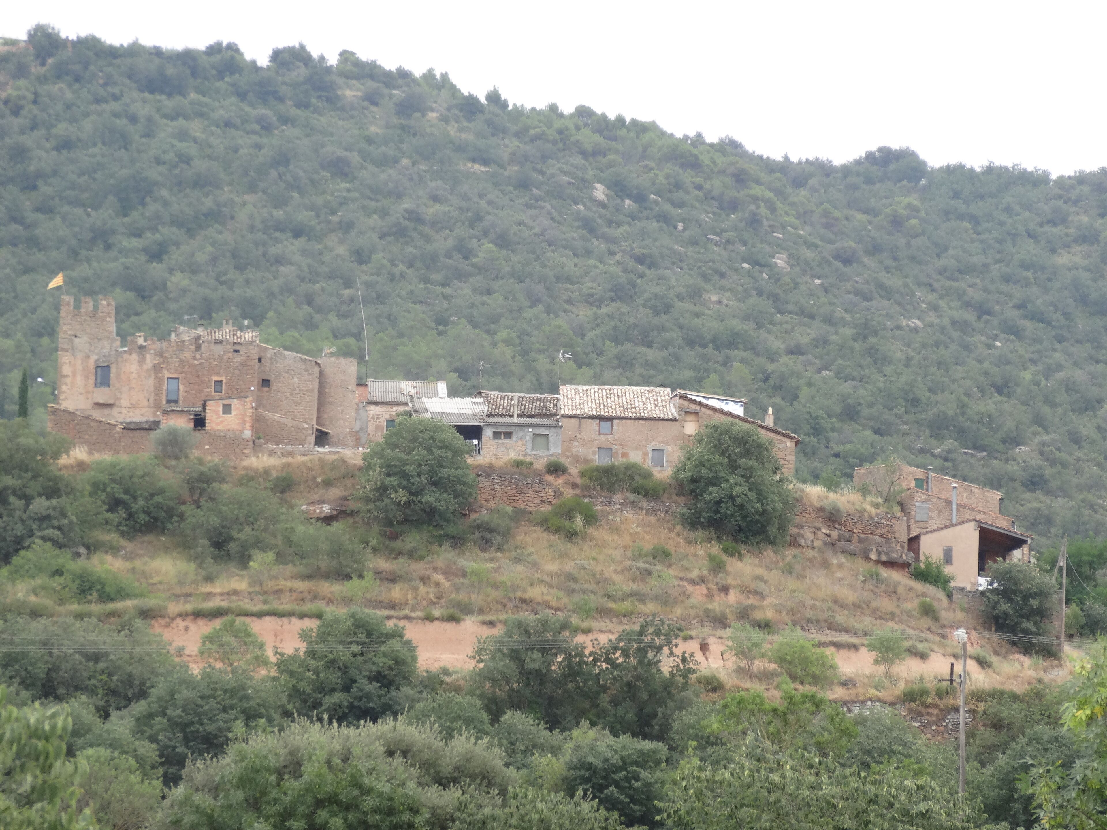 A historic stone castle on a hillside with surrounding greenery and modern buildings.