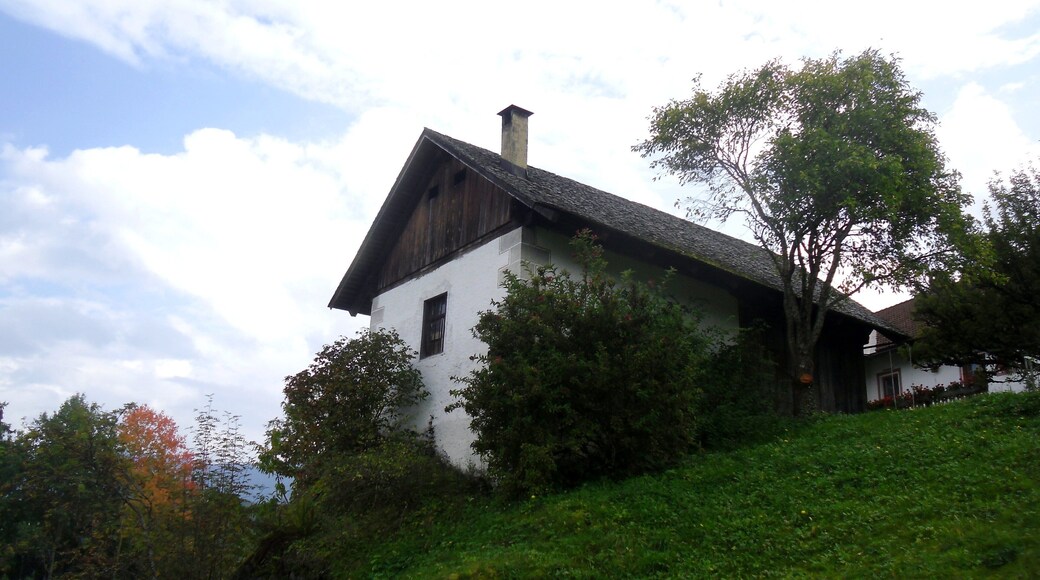 Kornkasten beim Huber am Getzenberg (Gemeinde Kiens, SĂŒdtirol)