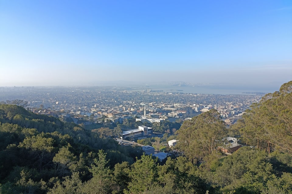Un paisaje urbano con una torre destacada, rodeada de un bosque denso y un cielo azul despejado.