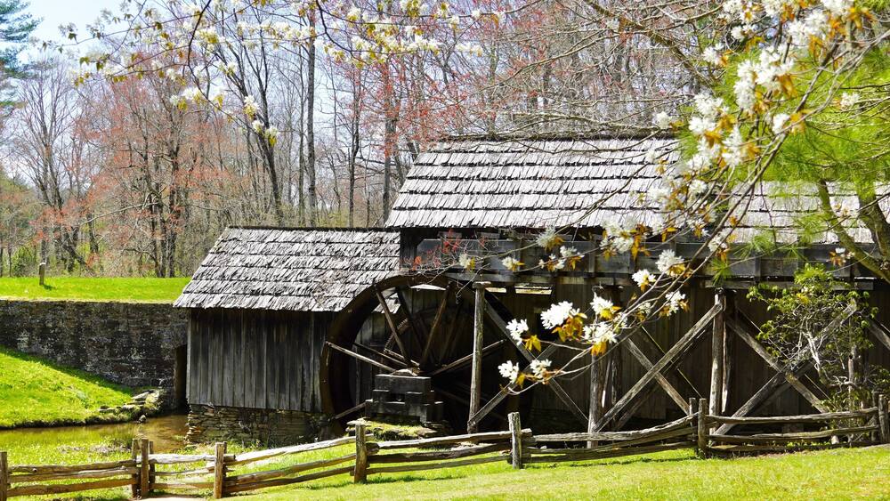 Spring blossoms and a pioneer mill