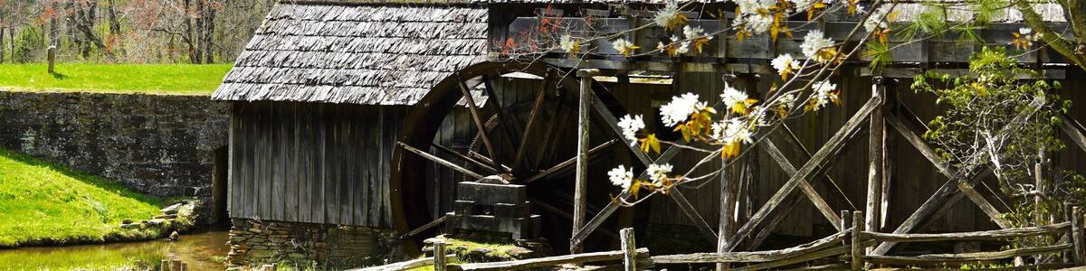 Spring blossoms and a pioneer mill