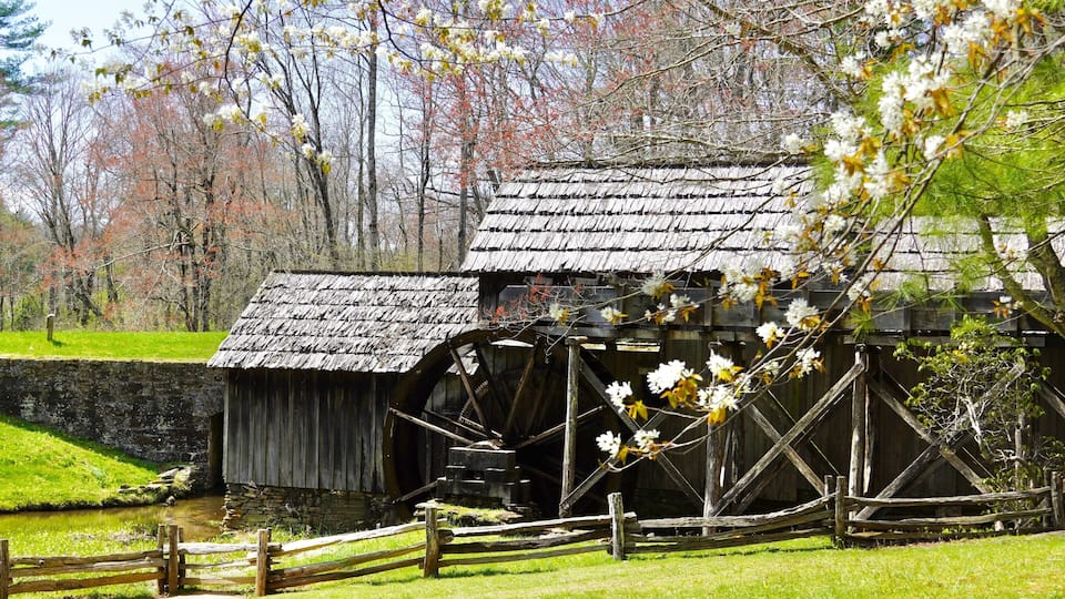 A historic water mill with a wooden structure and large water wheel, surrounded by a fence and blooming trees.
