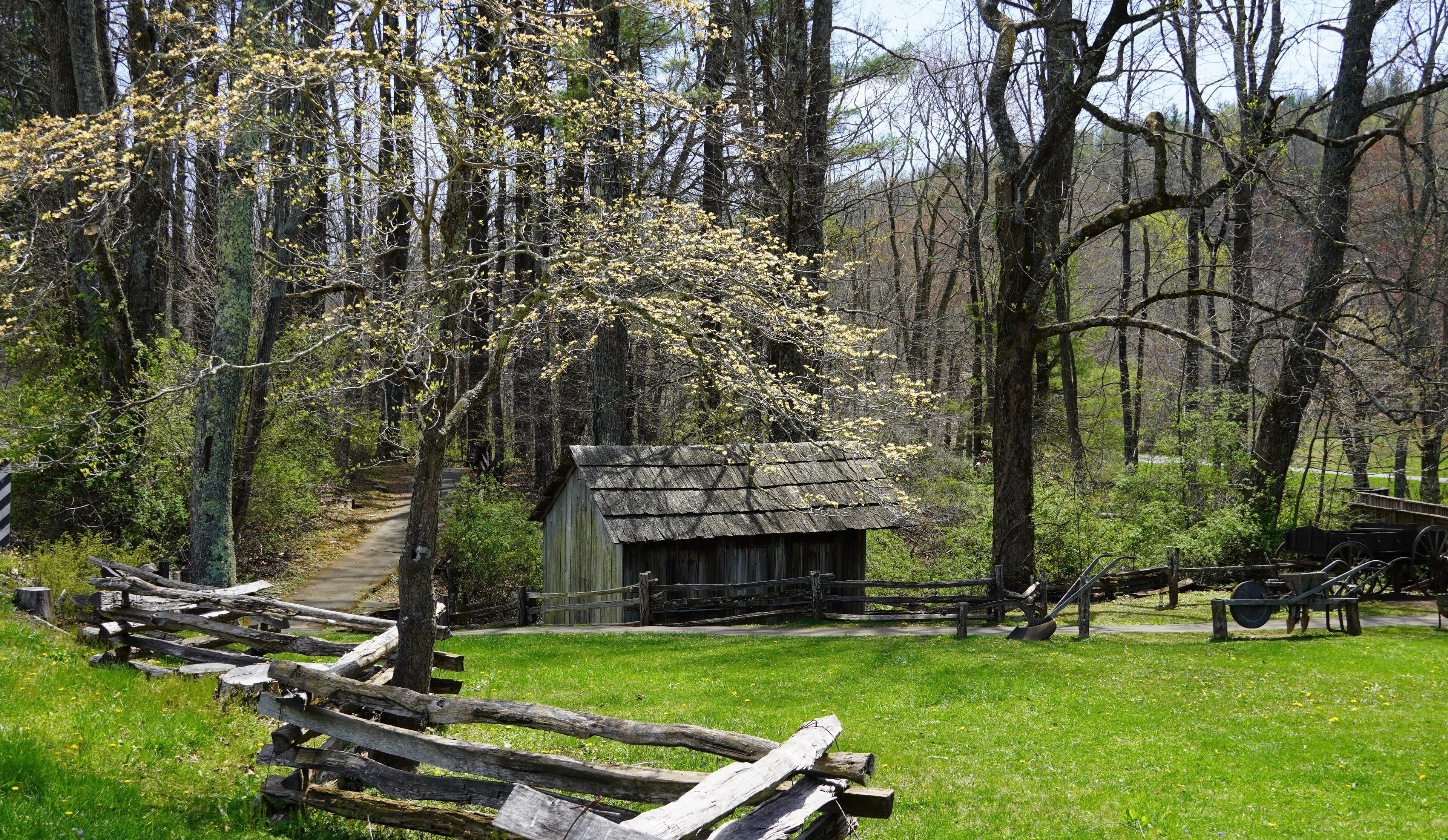 ميدوز أوف دان