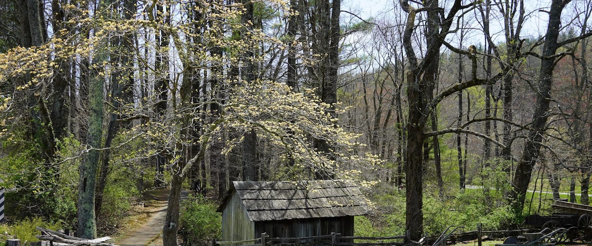 A rustic wooden cabin surrounded by a forest with a wooden fence and a wagon in the background.