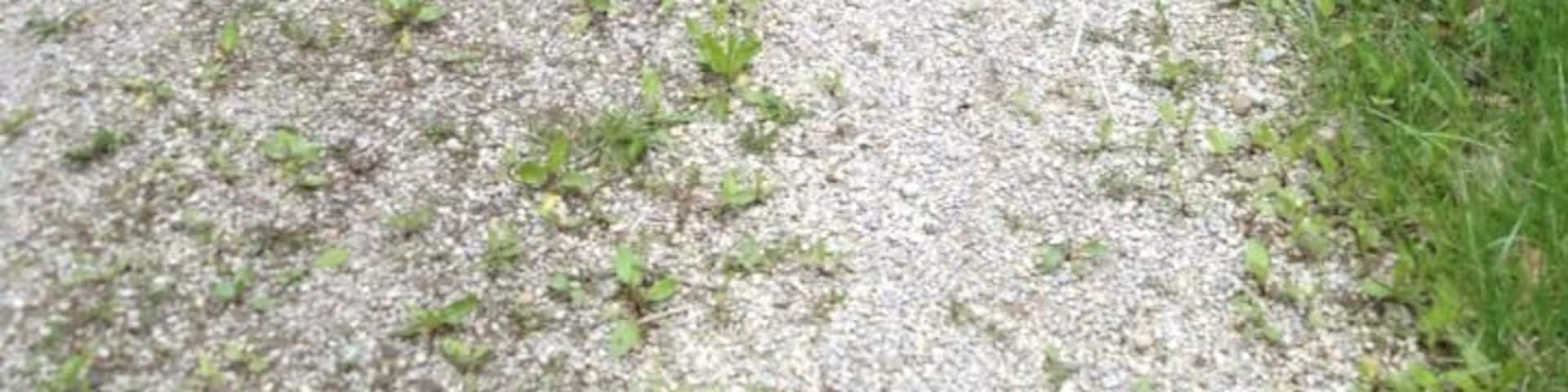 #TroveOn
#weekendgetaway
Surrounding North Bend State Park in West Virginia there are many old railroad tunnels to explore along the Rail Trail ranging from many different lengths and types. This photo of me was taken by a friend as we made our way to mile marker 21.9 - Tunnel #19, Silver Run Tunnel. At 1,376' long and constructed of brick, it's a damp, dark walk into the abyss. Make sure you take a flashlight along with you as this tunnel is reported to be haunted!
It is always a fun time exploring West Virginia's trails. :)