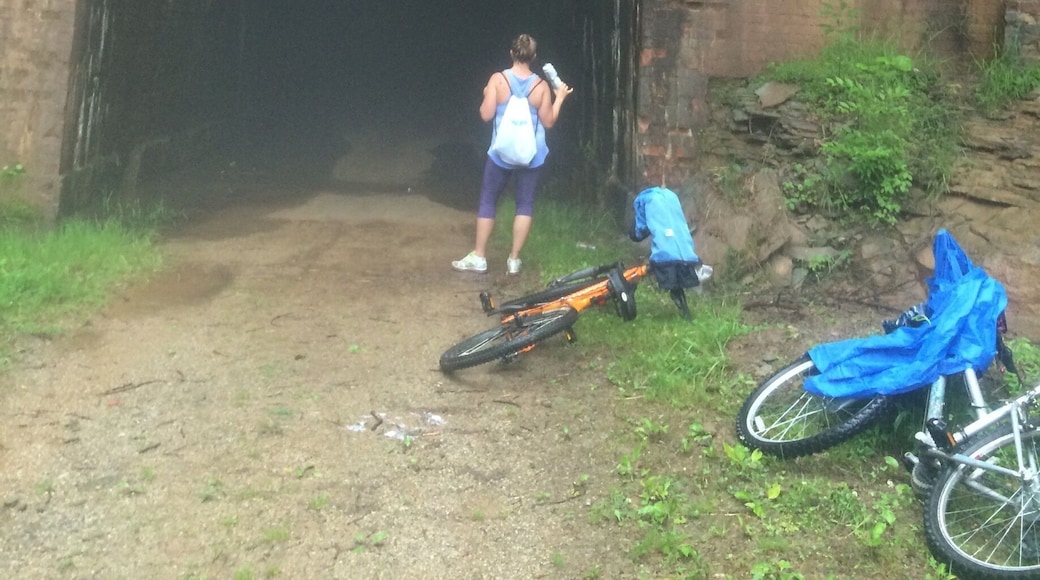 Tunnel #19. Silver Run Tunnel- legend has it as being haunted by a bride struck by a train on her wedding night. Best to go during full moon. The Rail-Trail no longer operates as a railroad, only to hikers and bikers. The locals say the train whistles are still heard to this day.