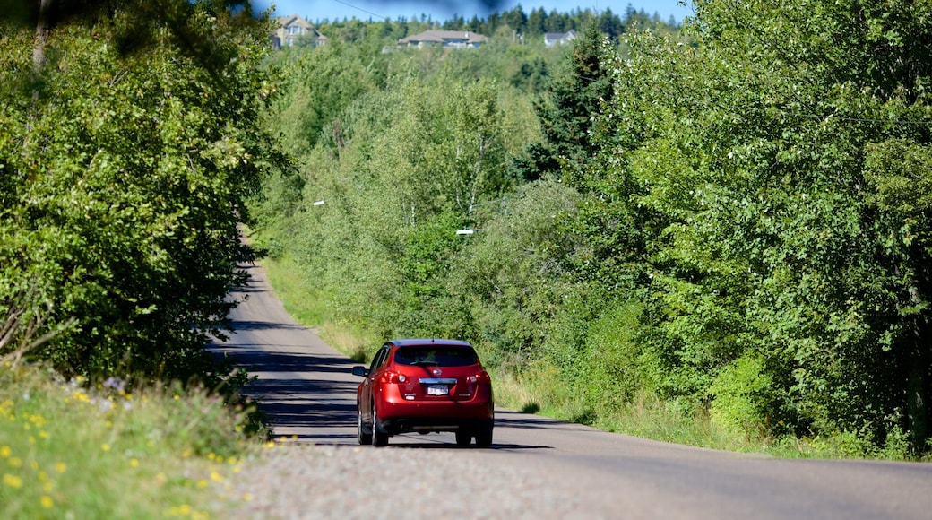 Magnetic Hill which includes tranquil scenes