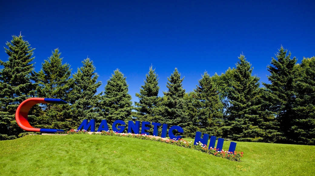 Magnetic Hill which includes signage