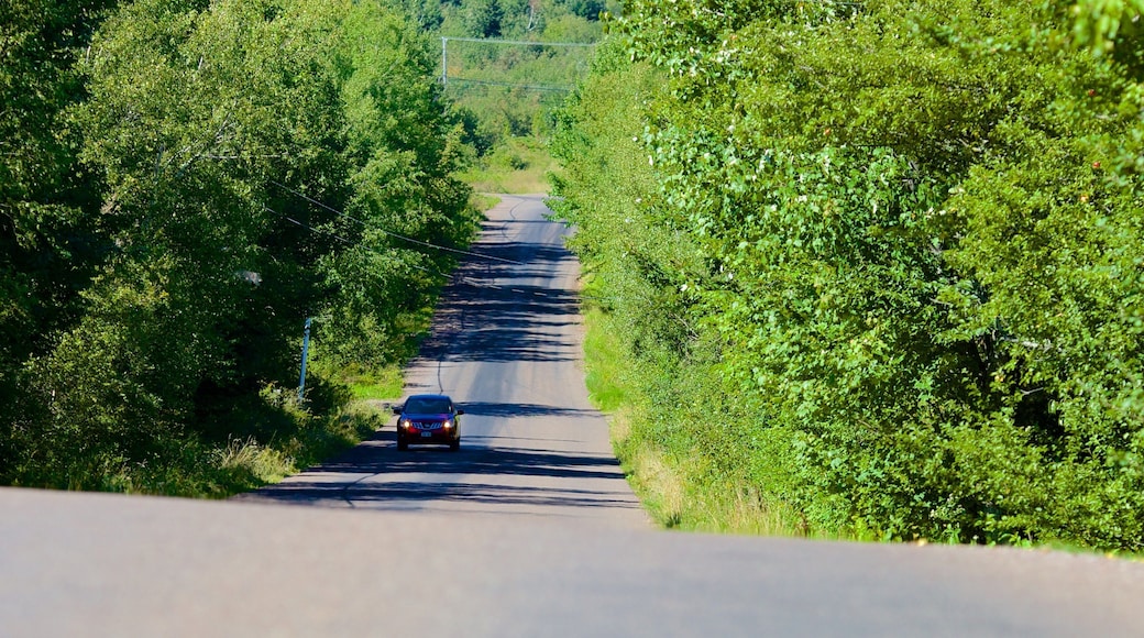 Magnetic Hill which includes tranquil scenes