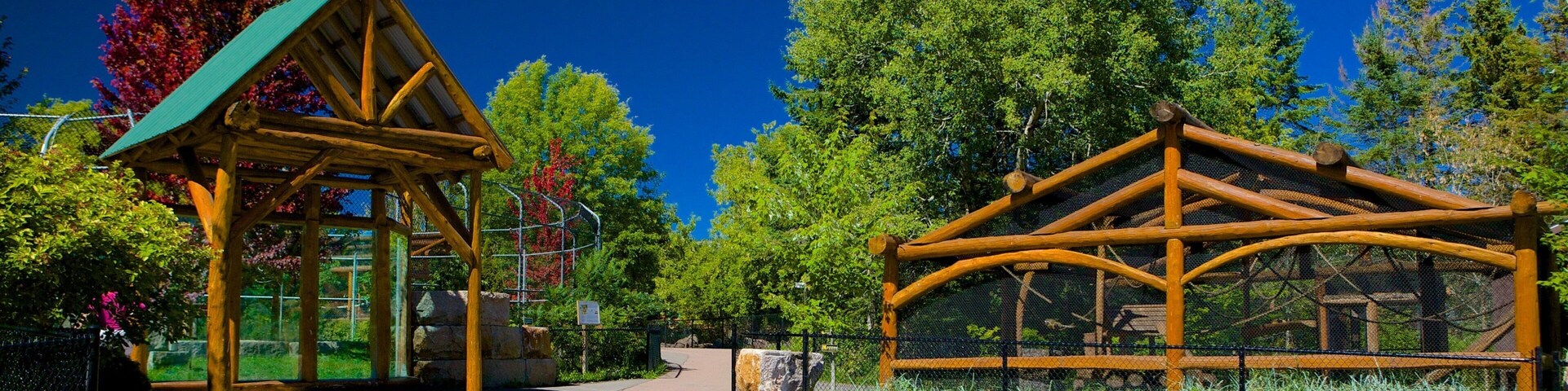 Magnetic Hill Zoo featuring zoo animals