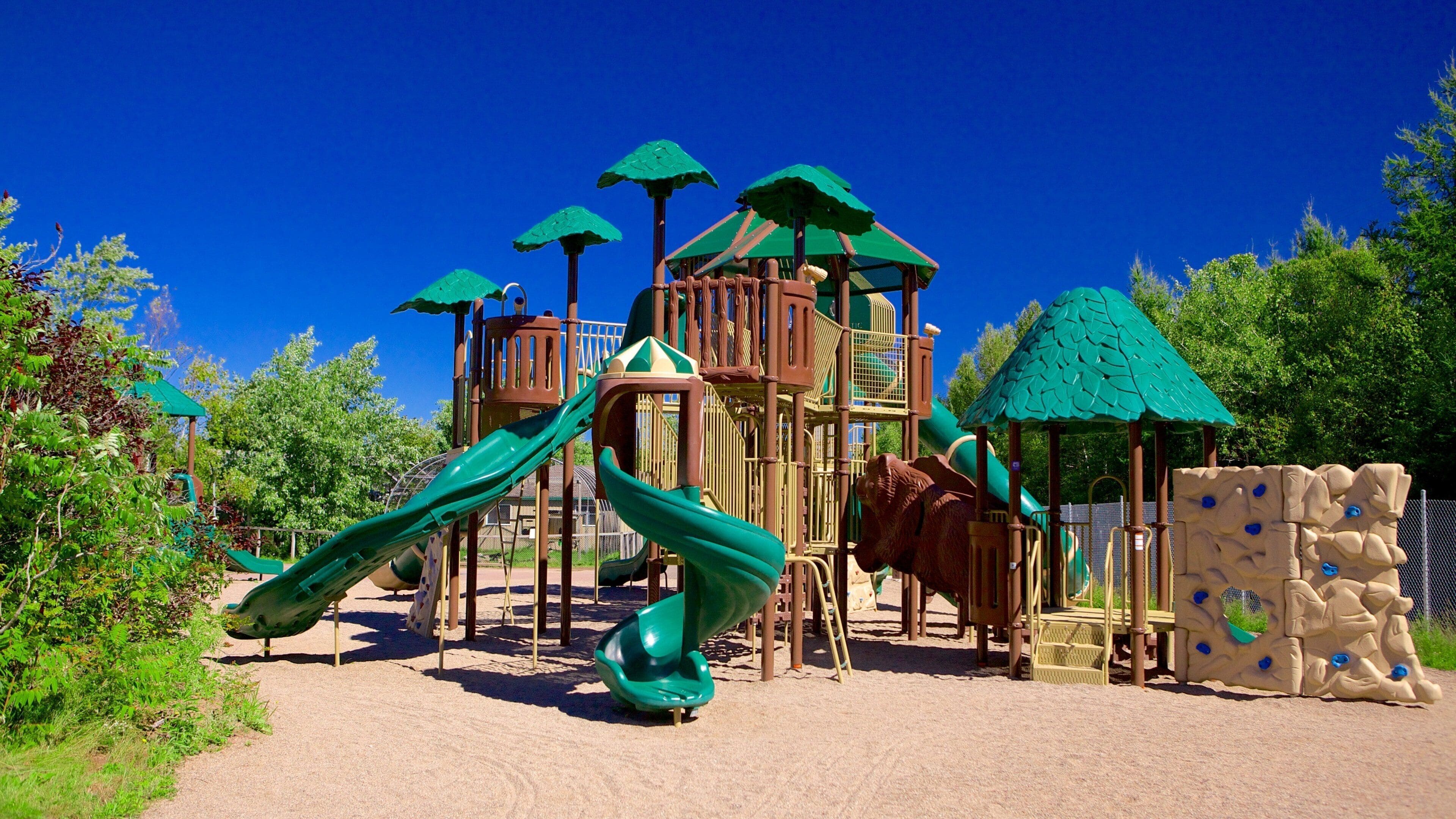 Magnetic Hill Zoo which includes a playground