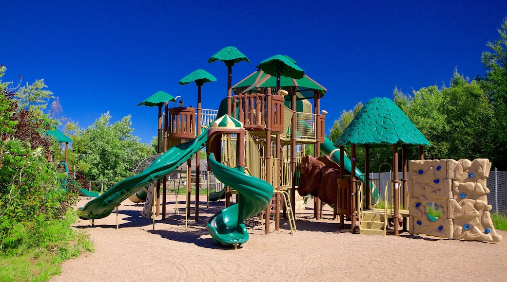 Magnetic Hill Zoo featuring a playground