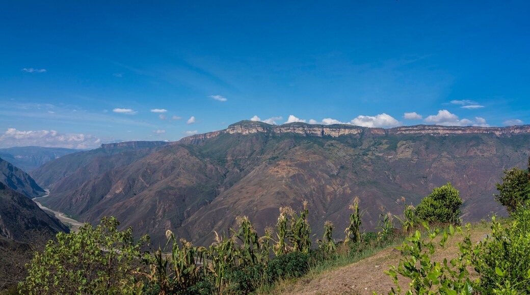 Colombia Realismo Magico