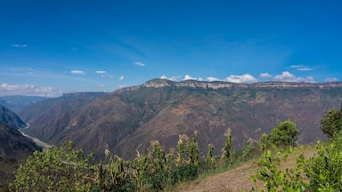 Colombia Realismo Magico