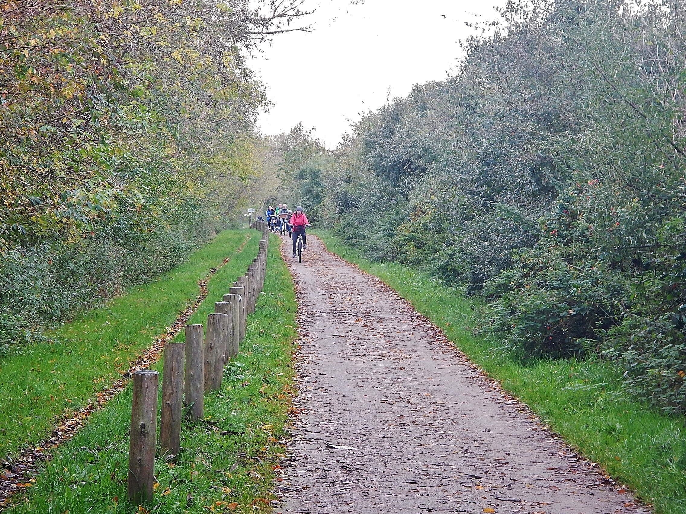 Reit- und Radweg an der Ostsee zwischen Heiligendamm und Kühlungsborn