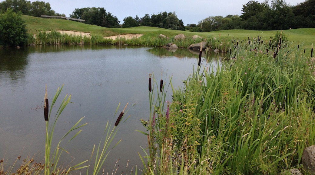 Golfplatz Wittenbeck