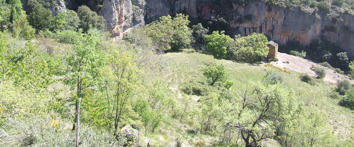 A mountainous landscape with dense forest and rocky cliffs.