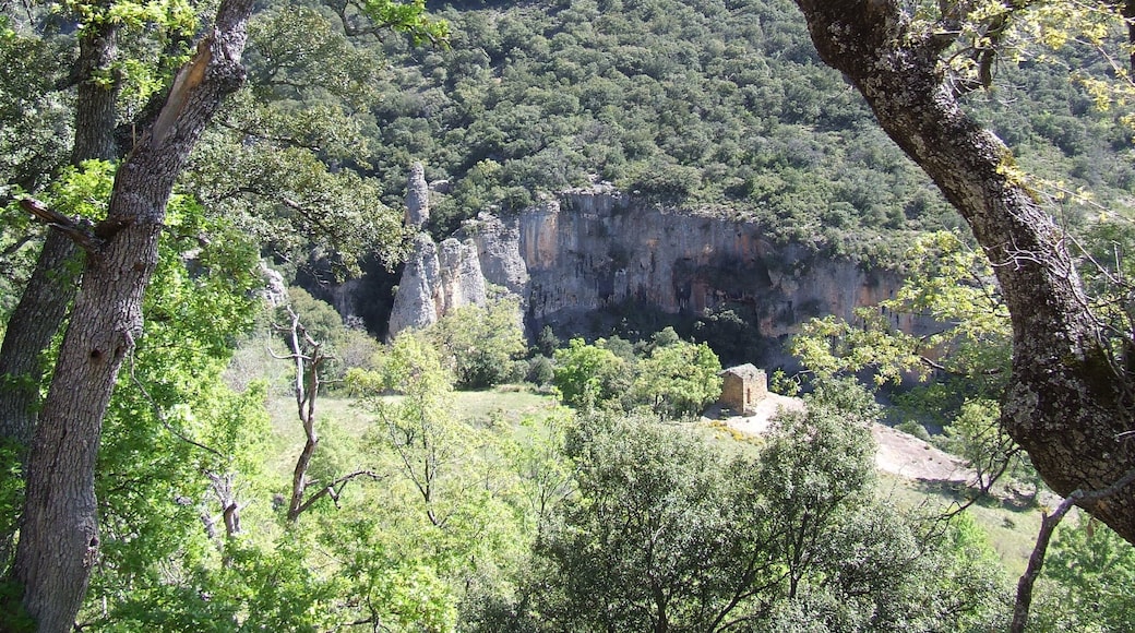 Sant Martí de Gurp en el seu marc (Gurp de la Conca, Tremp, Pallars Jussà)