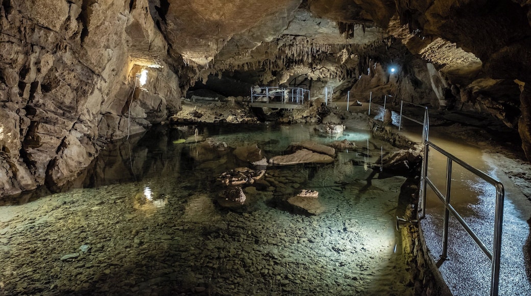 A small but beautiful cave located near FuĆŸine, Croatia. If visiting, the cave is generally closed during colder seasons we managed to tag along with a tour group that pre-booked a tour on the day.
#Nature