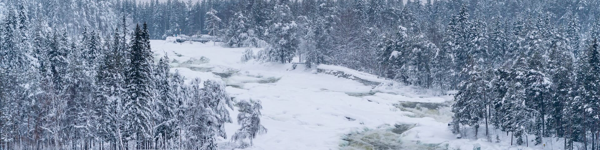 Storforsen Big river nature reserve on snowy winters day in Sweden