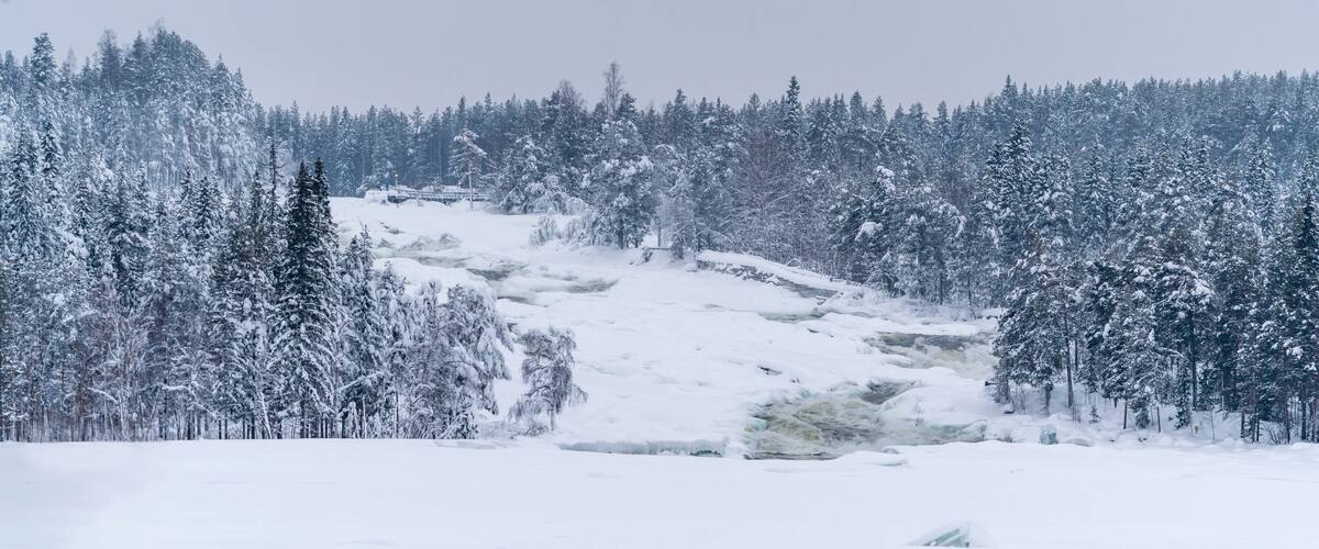 A snow-covered forest with a frozen river.