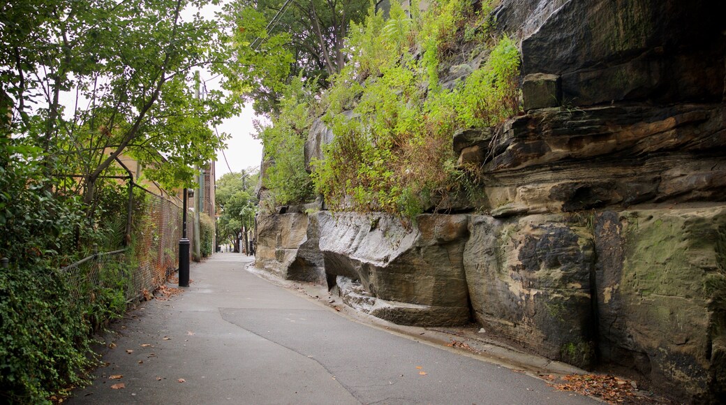 Circular Quay - The Rocks qui includes un jardin