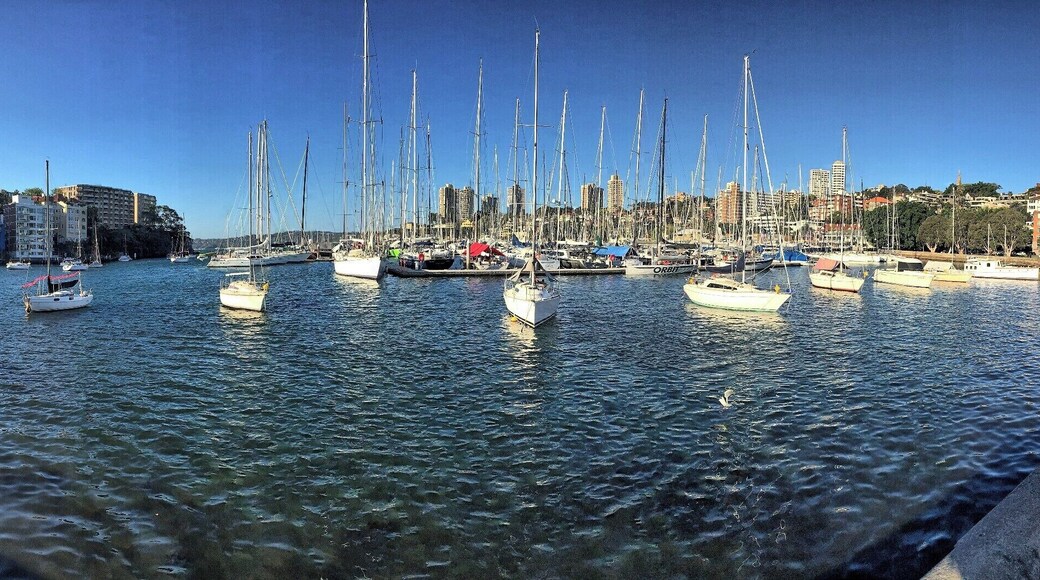 Overlooking the harbour