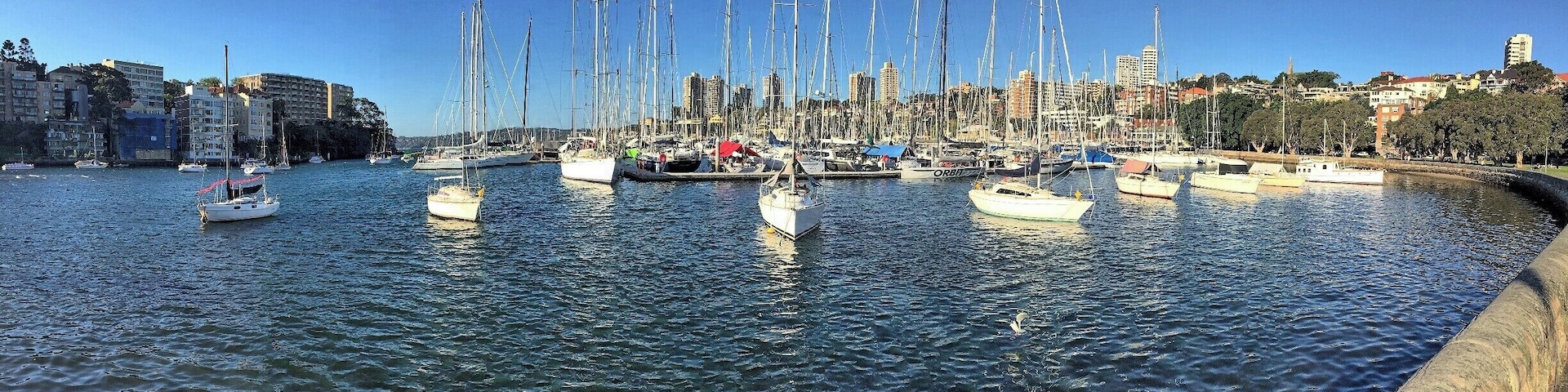 Overlooking the harbour