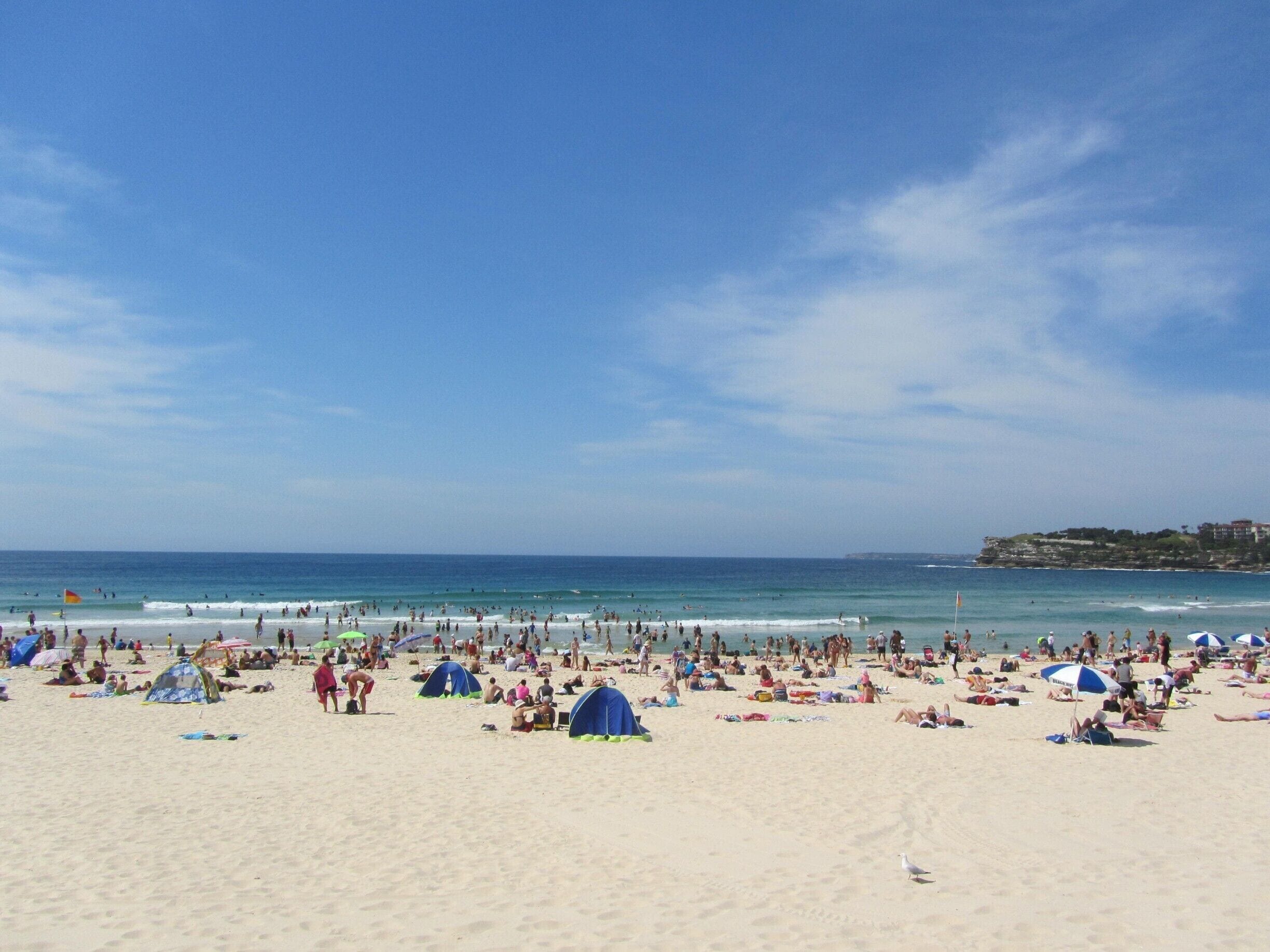 Yes, that's Bondi. If you want to soak up the atmosphere come here. Otherwise find another beach. A sizable proportion of the people here are tourists. #beach
