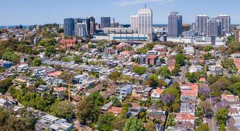 Panoramic aerial drone view of Bondi Junction, in east Sydney, NSW Australia, looking from above Double Bay on a sunny day