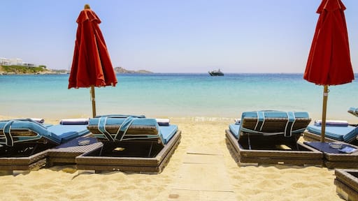 ํ์ฌ๋ก์ฐ