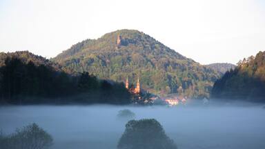 Bodennebel nordöstlich von Wilgartswiesen