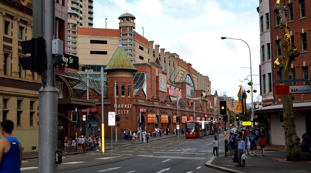 Chinese New Year celebrations are all over the news.
But we experienced it first hand. Read it here and share if you like. https://www.facebook.com/4pairsofItchyFeet/posts/988289231242098
Best way to begin your zodiac trail is here at Paddy's Haymarket. Also a great spot for a bite to eat.