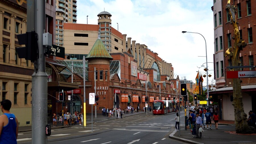 Chinese New Year celebrations are all over the news.
But we experienced it first hand. Read it here and share if you like. https://www.facebook.com/4pairsofItchyFeet/posts/988289231242098
Best way to begin your zodiac trail is here at Paddy's Haymarket. Also a great spot for a bite to eat.