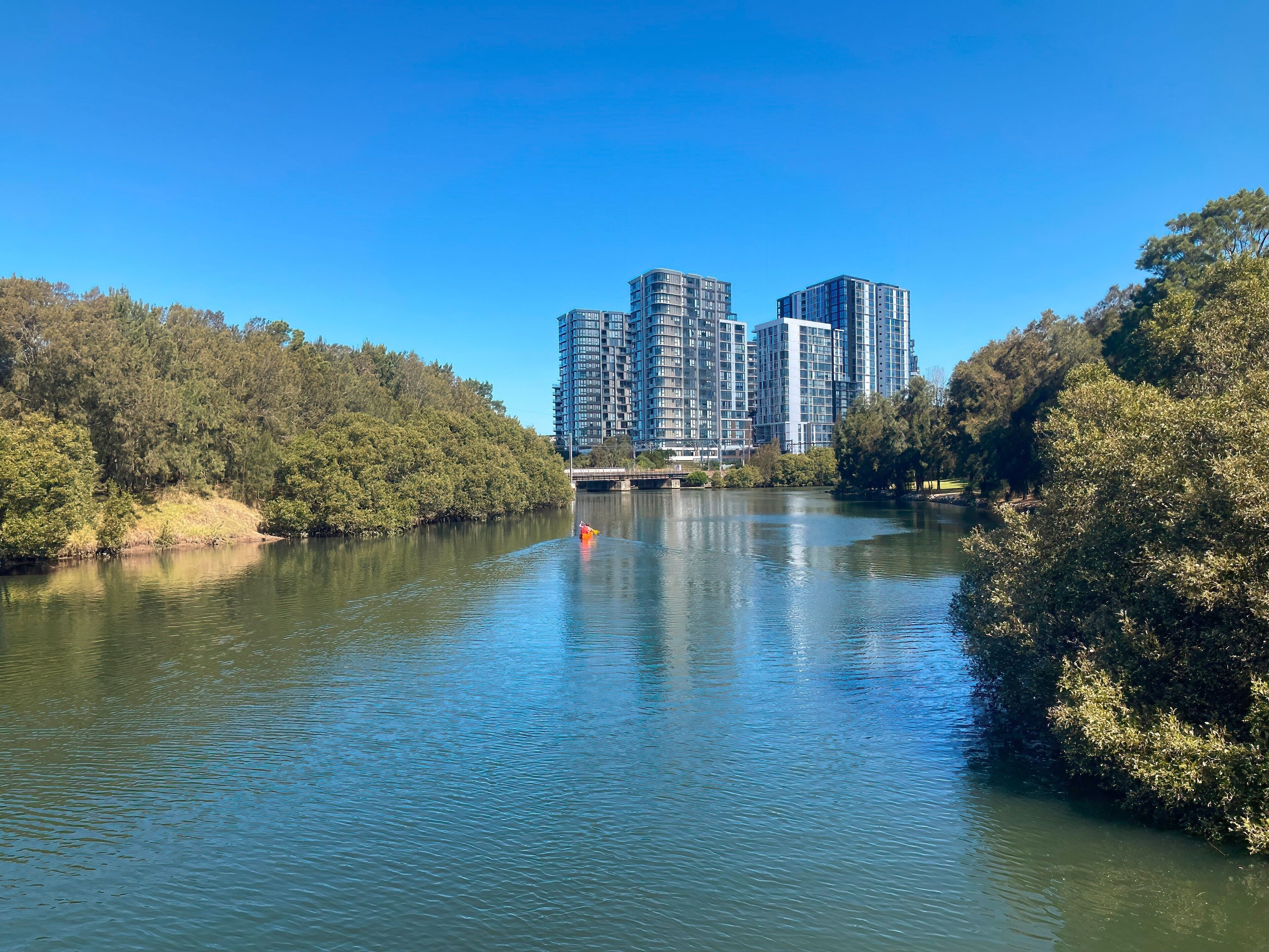 Wolli Creek river looking at the apartments at Wolli Creek the suburb
